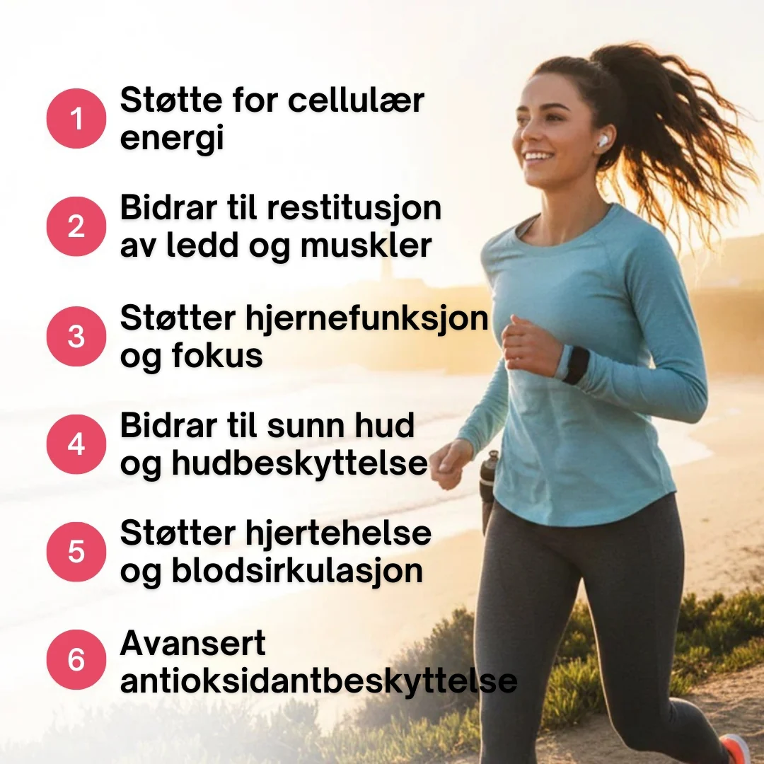 Produktbilde 2
