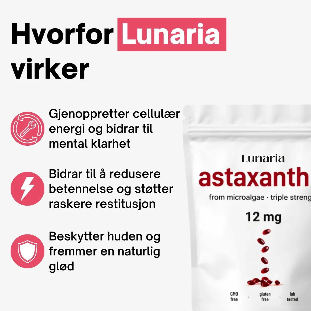 Produktbilde 4