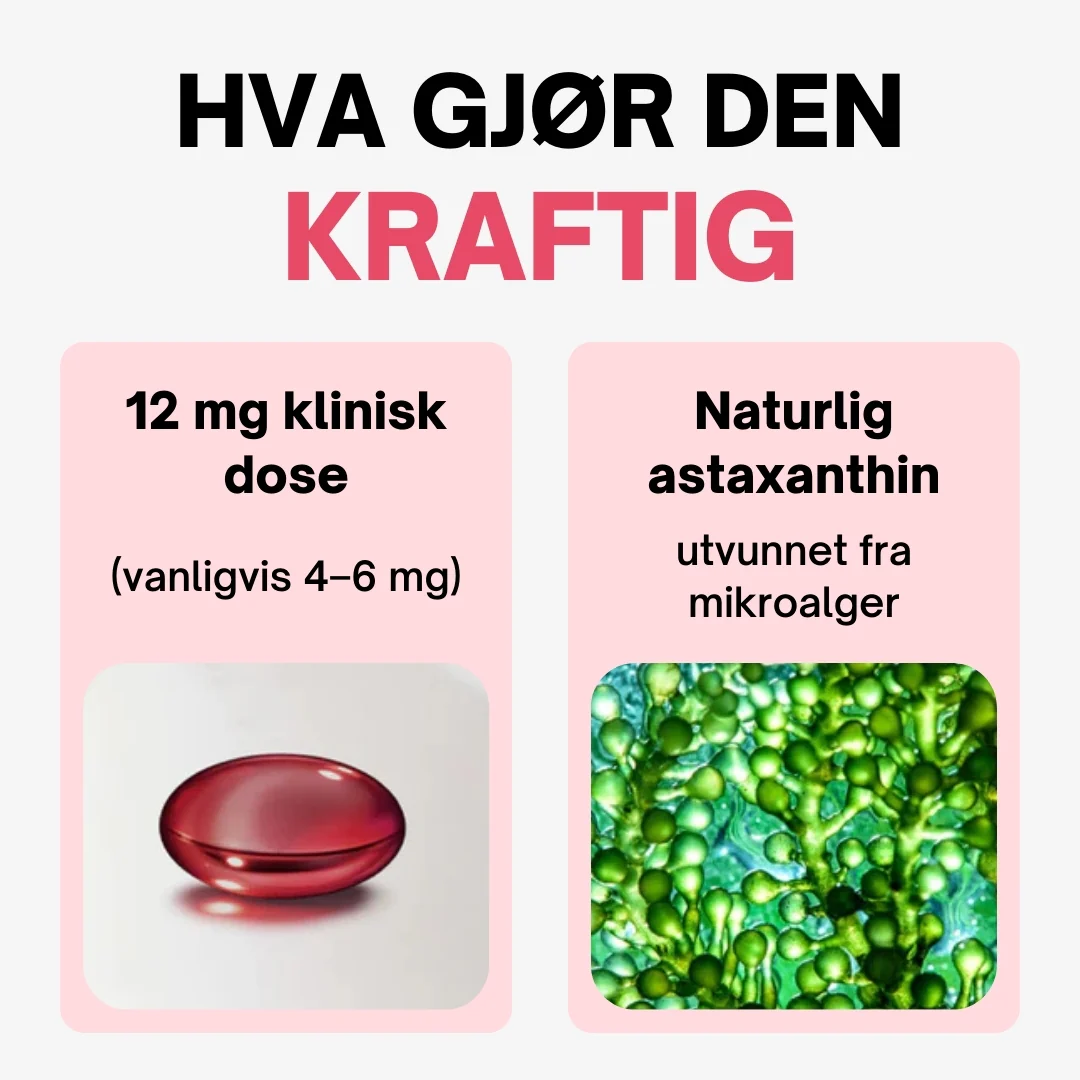 Produktbilde 6