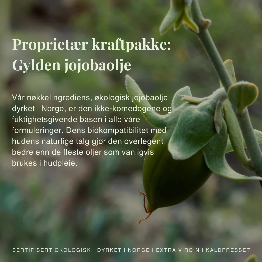 Produktbilde 4