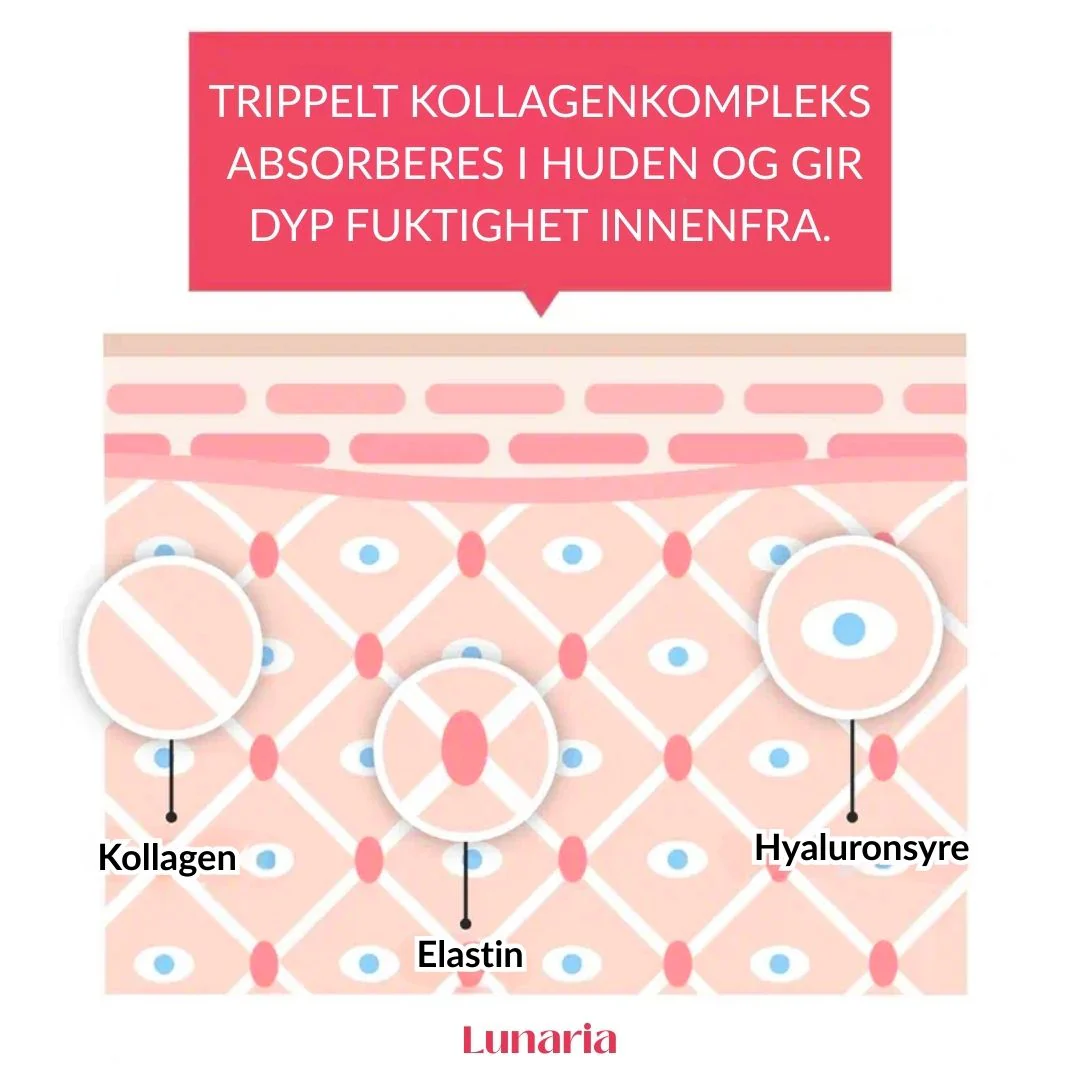 Produktbilde 4