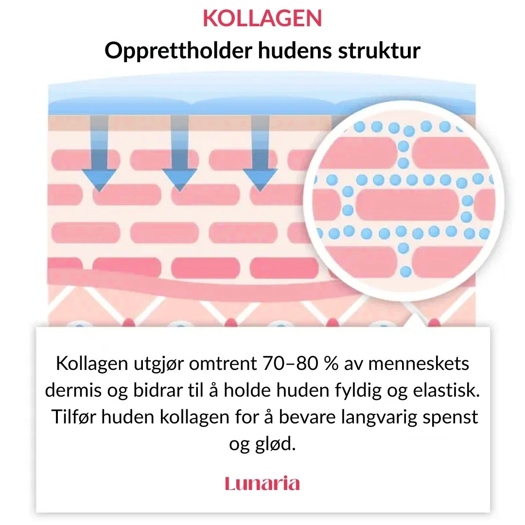 Produktbilde 5